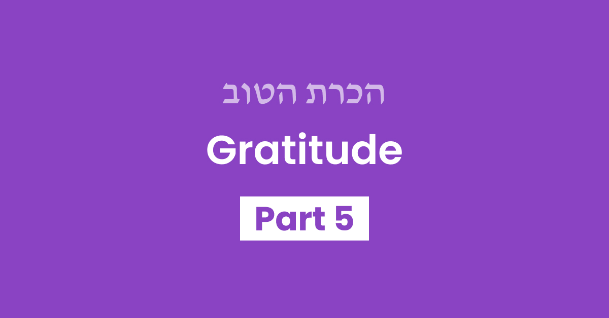 Gratitude Part 5