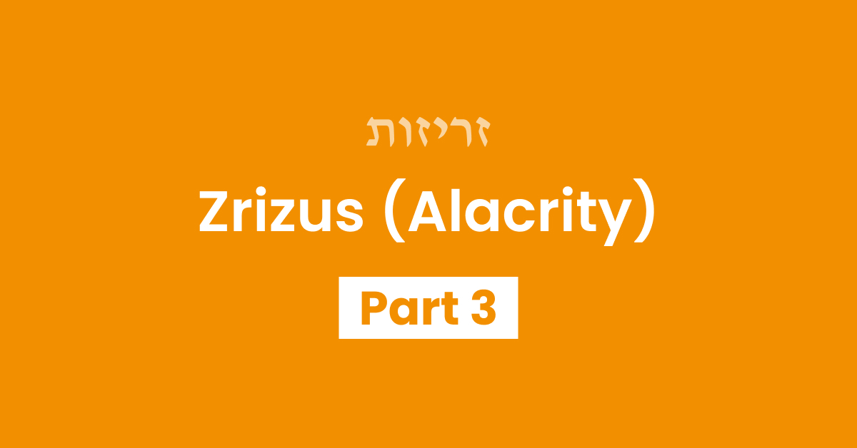 Zrizus Part 3