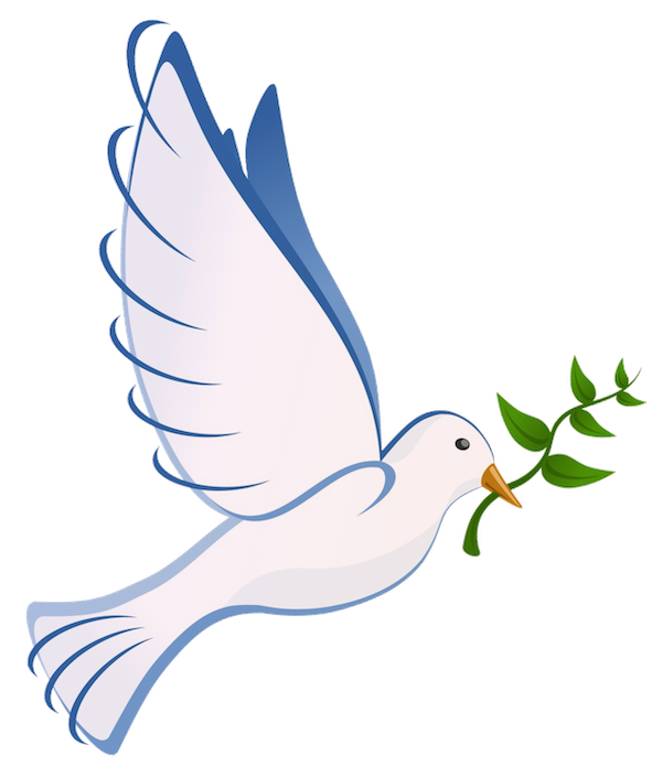 dove shalom