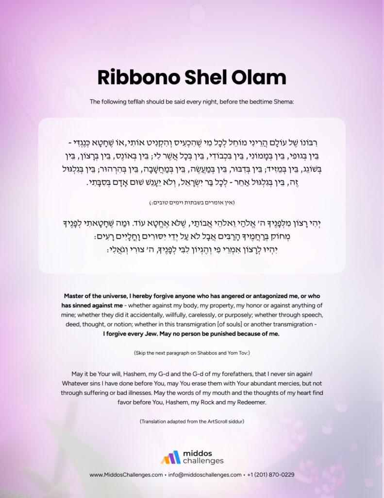 Ribbono Shel Olam poster - thumbnail